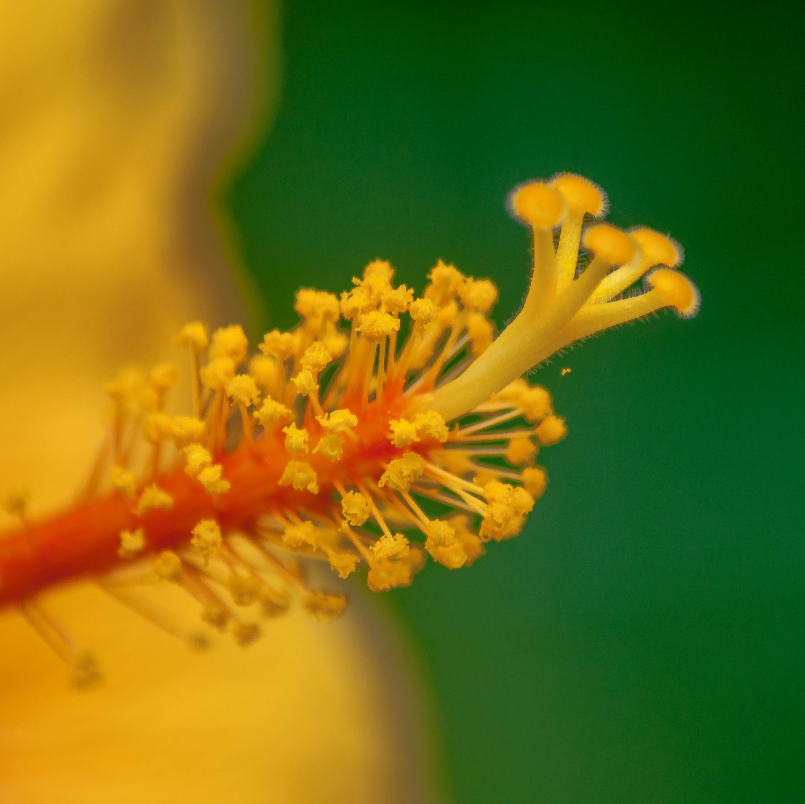 theadventureaperture #9